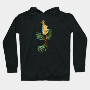 Australian Native Flower - Bottlebrush Flower Hoodie